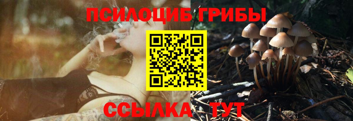 Ессентуки  Псилоцибиновые грибы мухоморы  Вход с VPN 